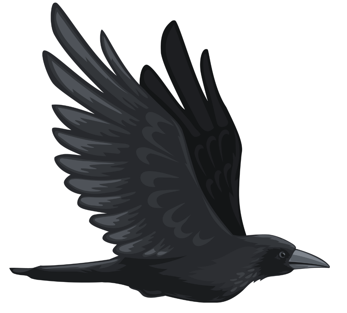 RavenAI Labs