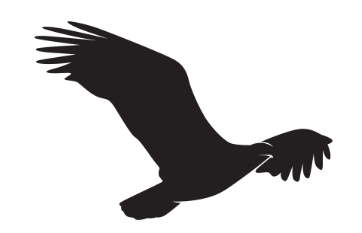 RavenAI Labs
